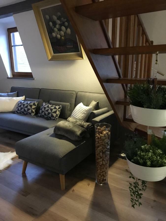 Les Appartements D'Estelle La Petite-Pierre Exterior foto